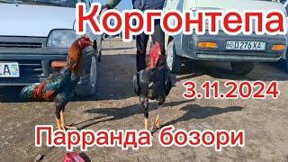 Коргонтепа парранда бозор 3.11.2024 #tezkor #diqqat #muhim