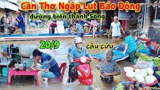 Lũ lên quá nhanh" Cần Thơ ngập lụt Báo Động "đường biến thành Sông nhiều gia đình kêu trời