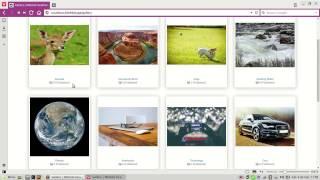 website image gallery odoo