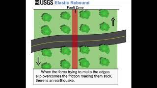 elasticrebound