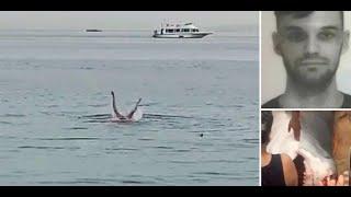 ШОК! Из желудка акулы извлекли голову, грудь и руки погибшего 23 летнего парня!