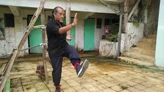 Video 17: Comprehensive Training: Wing Chun Level 7 Mastery