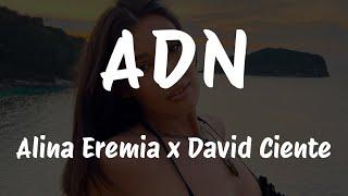 Alina Eremia x David Ciente - ADN | Lyric Video