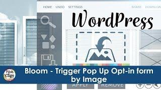 Bloom Newsletter Optin Popup Trigger by Image