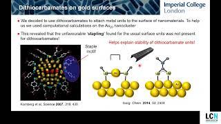 LCN Joint Seminar Series -  Nanoparticle and Labelling