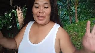 Morning all magpakaon ta baboy brenda Arps vlog