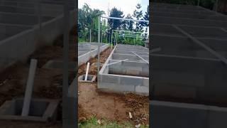 Pembuatan rangka kolam dari HEBEL untuk pembenihan ikan lele2x4 meter tinggi 50cm