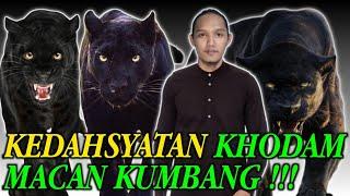 Mengenal Khodam Macan Kumbang