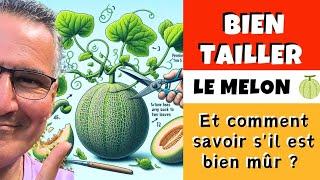 Comment tailler le melon et savoir s'il est bien mûr ?