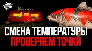 Медное: проверяем точки после смены температуры ● Русская рыбалка 4 ● Перчик РР4