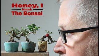 Bonsaify | Two Key Steps to Shrinking Your Mini Bonsai