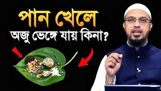 পান খেলে ওযু ভেঙে যায় কিনা? শায়খ আহমাদুল্লাহ