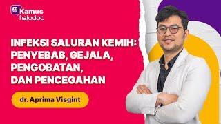 Infeksi Saluran Kemih: Penyebab, Gejala, Pengobatan, dan Pencegahan