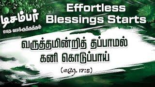 டிசம்பர் மாத வாக்குத்தம் "வருத்தமின்றித் தப்பாமல் கனி கொடுப்பாய் (எரே 17:8)" (01.12.2024) (MP2412)