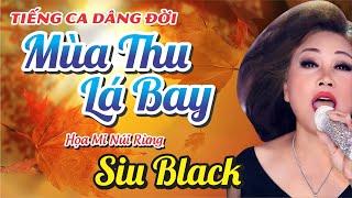 Mùa Thu Lá Bay - Siu Black | Tiếng Hát Dâng Đời Quá Hay Nghe Là Nghiện