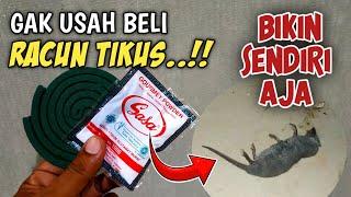 Racun Tikus Ampuh Buatan Sendiri | Cara Mengusir Tikus Dari Rumah Paling Ampuh