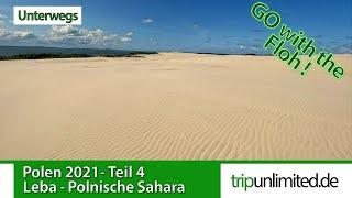 Polnische Sahara I Ostsee I Wanderdünen Leba I Expeditionsmobil & Mini Camping I Unterwegs mit Katze