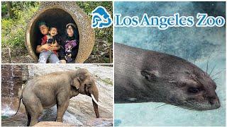 What is there to do at the Los Angeles Zoo?