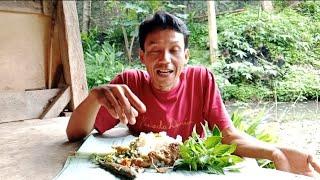 MAKAN DI PINGGIR EMPANG MANTAP