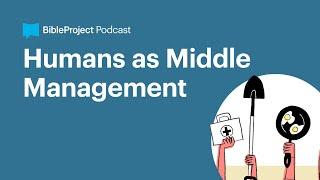 Humans as Middle Management • Image of God Ep. 1