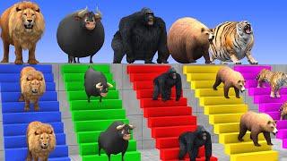 Long Slide Game With Elephant Gorilla Buffalo Hippopotamus Tiger 3d Animal Game Funny 3d Animals