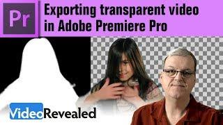 Exporting Transparent Video in Adobe Premiere Pro