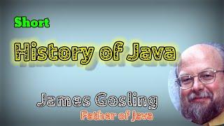 History of Java programming.