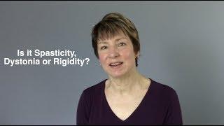 Is it Spasticity, Dystonia or Rigidity