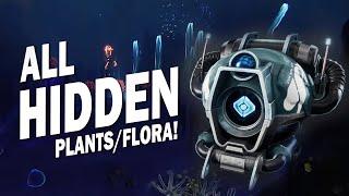 Where to Find ALL Hidden Plants & Flora in Season of the Deep! EXOTIC GHOST SHELL! Guide