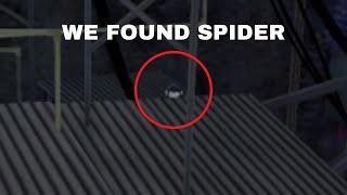 We Caught Spider in Gorilla Tag!