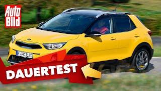 Kia Stonic (2020): Test - Dauertest - SUV - Technik - Info