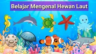 Belajar Mengenal Nama Hewan Laut | Nama-nama Ikan