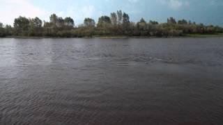 Река Матросовка в Заповедном Калининградская область