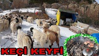 KEÇİLERİ KAÇIRDIMOF KEYİFE BAK MİS ÇAY MİS KUZU SARMASI