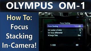 OM System OM 1 Computational Photography: Focus Stacking Tutorial ep.375