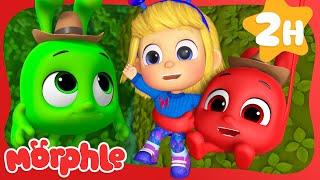 Jungle Adventure Rescue| Adventure Cartoons for Kids | Mila and Morphle