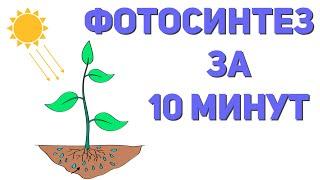 Фотосинтез за 10 минут | ЕГЭ по биологии