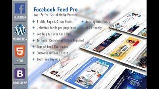 Facebook Feed Plugin For WordPress Websites