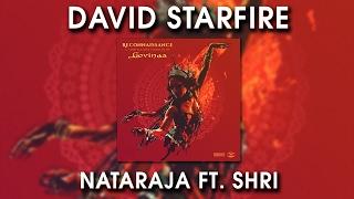 David Starfire - Nataraja Ft. Shri