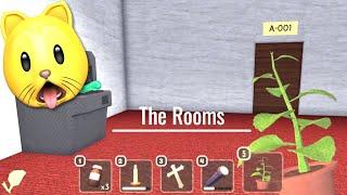 I TRIED TO BRING HERB OF VERIDIS TO ROOMS in Roblox DOORS!