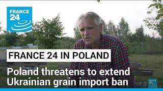 Poland threatens to extend Ukrainian grain import ban after embargo date expires • FRANCE 24