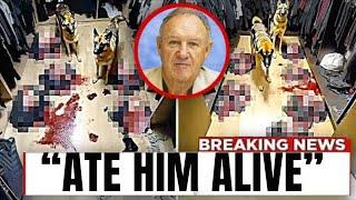 Disturbing Video of Gene Hackman’s Home Leaves Fans Stunned