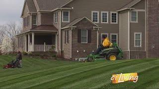 DIY Lawn Care vs Professional Care