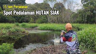 MENCOBA MANCING DI  WILAYAH PEDALAMAN HUTAN LINDUNG SIAK || HUTAN YANG MASIH DI HUNI BINATANG BUAS