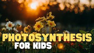 Photosynthesis for Kids | Learn how plants MAKE their own food
