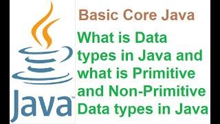 3 Primitive and Non Primitive Data types in Java