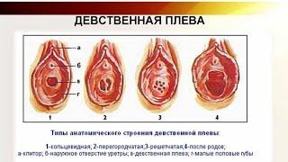 Пардаи Бакорат Эхтиет Бошед ️ +79969800352