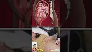 Incredible Moments Inside The Womb (Documentary