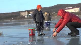 Зимняя рыбалка. Владивосток, 08.12.2013, ДР,корюшка, махалки.