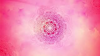 Pink Mandala animated background video by @pixxeledge | Royalty Free